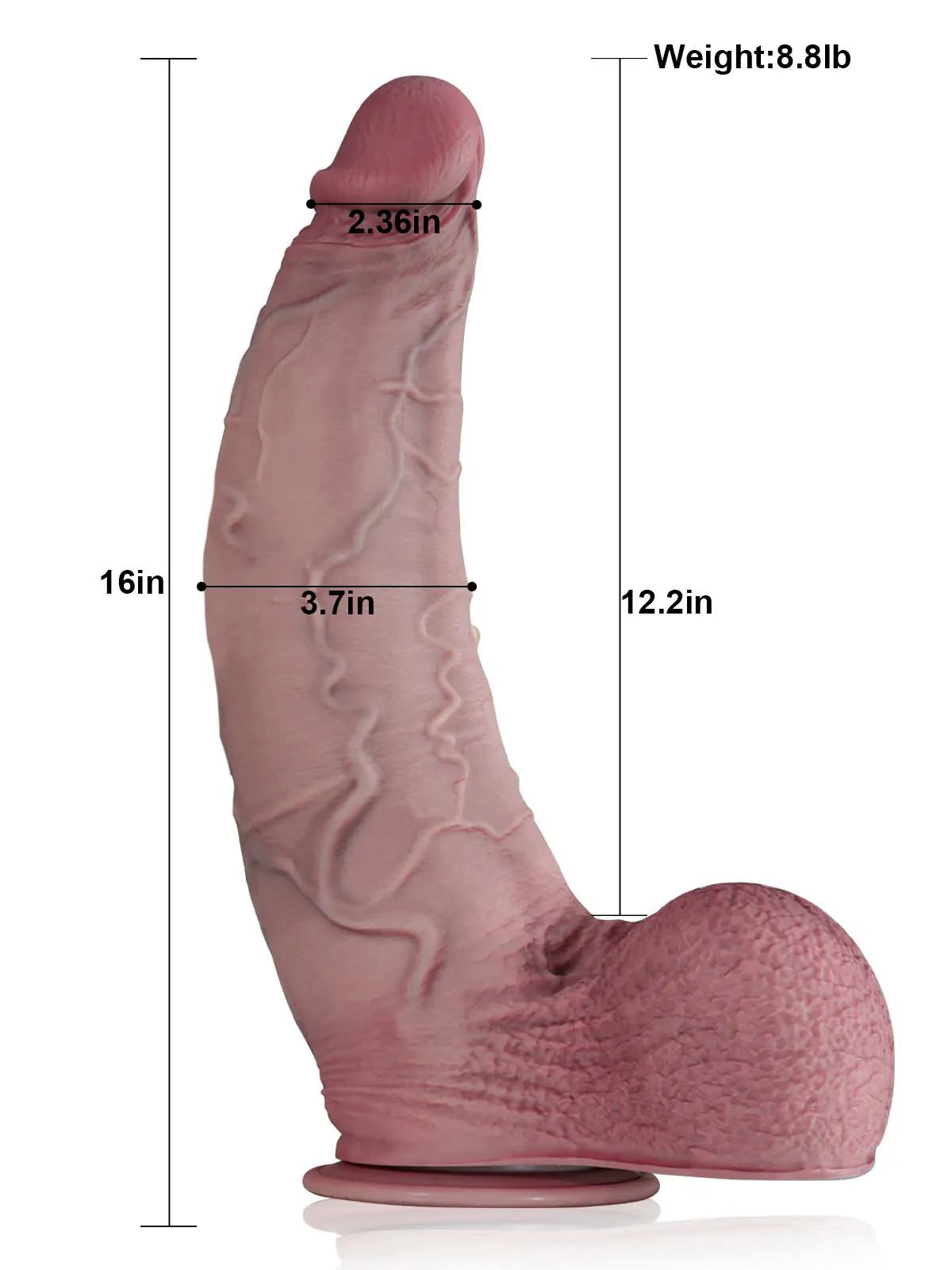 Alexander 16" x 3.7" Giant Curved Thick Realistic Dildo, XXL with Balls