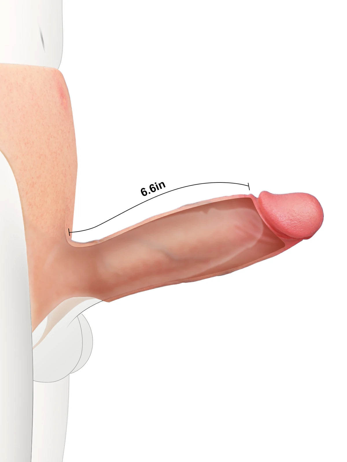 Daenerys 7.8" x 2" Hollow Strap-On Dildo, ED Sleeve and Wearable