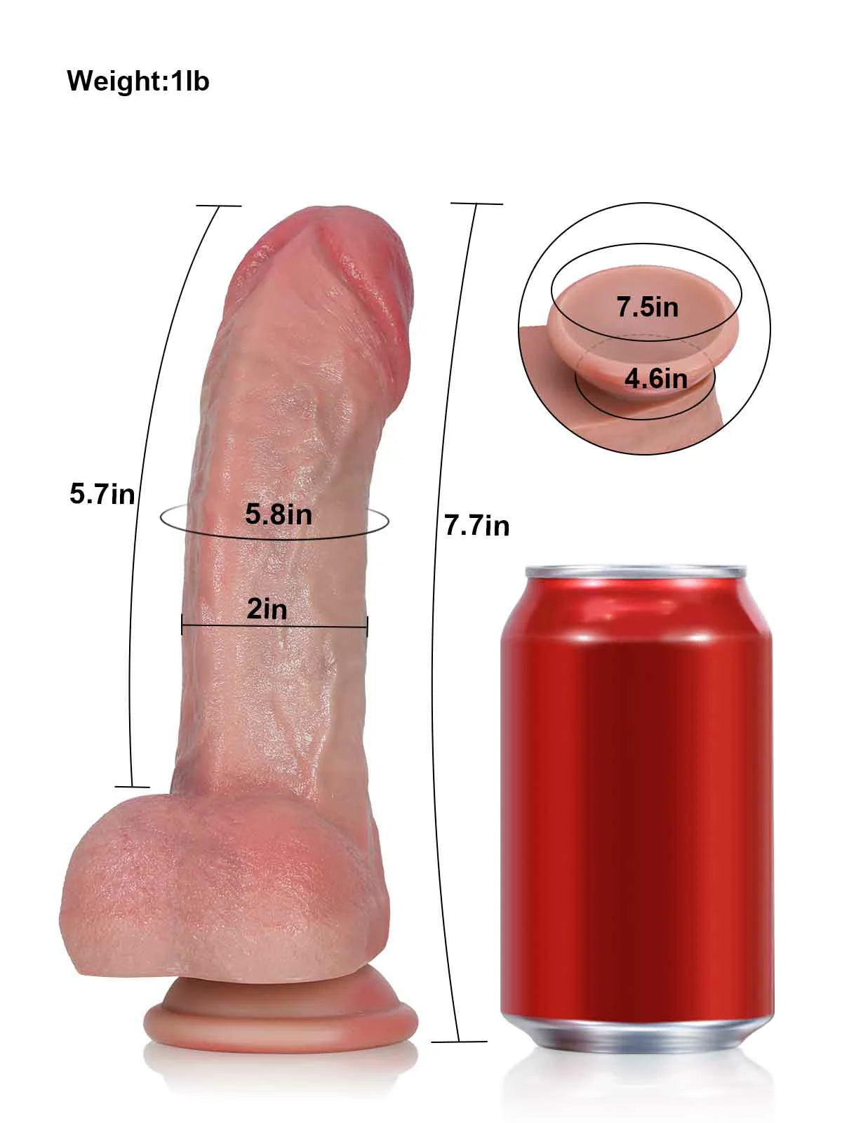 Gary 7.7" x 2" Thick Beginner Realistic Dildo with Curved Back Ridge