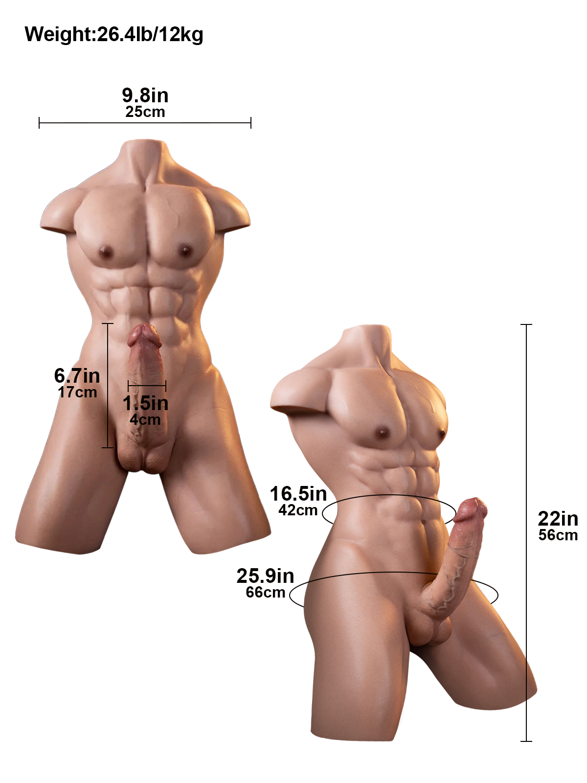 Lucas – 12 kg (26.5 lb) Premium Muscular Male Sex Torso with 17 cm Realistic Dildo